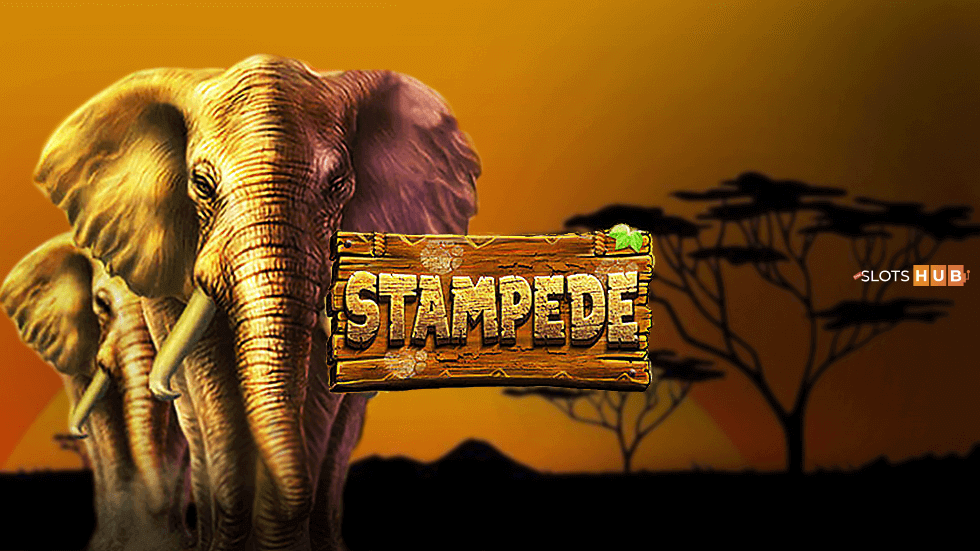 Stampede Jackpot: An African Safari Slot Adventure